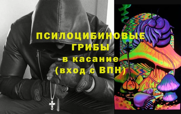 стафф Арсеньев