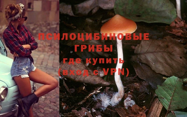 стафф Арсеньев