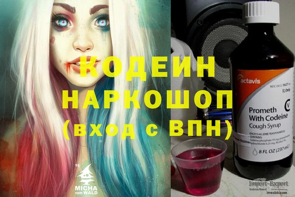 стафф Арсеньев