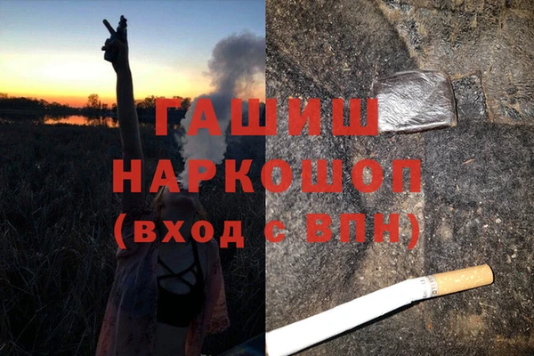 стафф Арсеньев