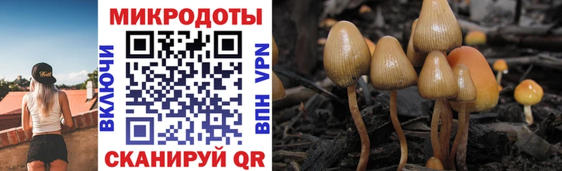 где продают наркотики  Полярный  даркнет как зайти  Галлюциногенные грибы MAGIC MUSHROOMS 
